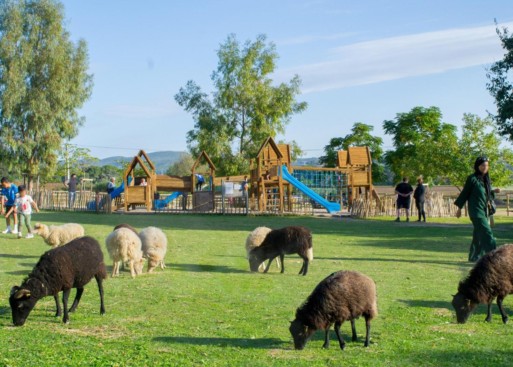 Maison Avec Piscine Location De Vacances Ferme Pedagogique Du Dolmen Le Pouget Экстерьер фото